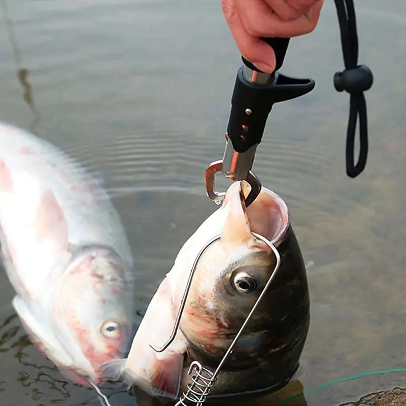 1/2/3/4/5pcs Portable Fishing  - Freshwater Fishing Kit recensione e prezzo